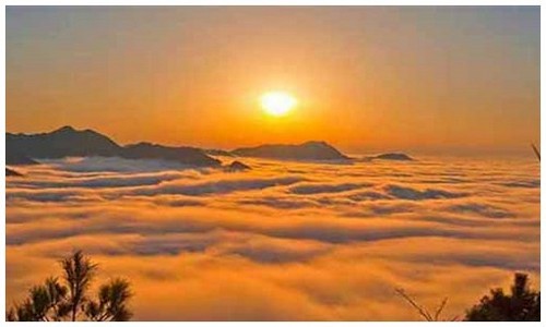 2026最新龙岛异兽怎么玩安卓苹果都能玩吗？附电脑版下载方法